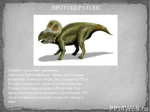 Одним из известных динозавров считается Протоцератопс. Ящер с небольшими размера