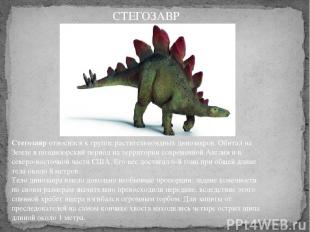Стегозавр относился к группе растительноядных динозавров. Обитал на Земле в позд