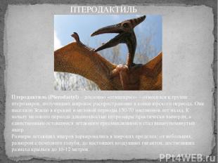 Птеродактиль (Pterodactyl) – дословно «птицекрыл» – относился к группе птерозавр