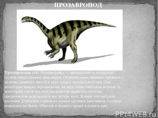 Прозавроподы (лат. Prosauropoda) — принадлежит к подгруппе группы ящеротазовых д
