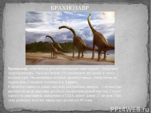 Брахиозавр относился к растительноядным динозаврам – подотряд зауроподморфы. Нас