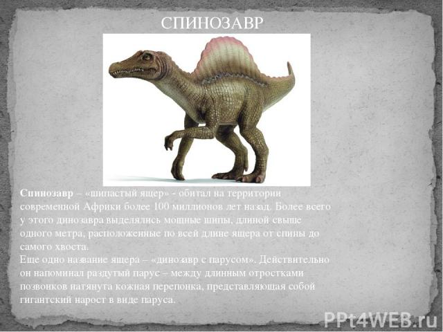Спинозавр – «шипастый ящер» - обитал на территории современной Африки более 100 миллионов лет назад. Более всего у этого динозавра выделялись мощные шипы, длиной свыше одного метра, расположенные по всей длине ящера от спины до самого хвоста.  Еще о…