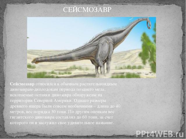 Сейсмозавр относился к обычным растительноядным динозаврам-диплодокам периода позднего мела; ископаемые останки динозавра обнаружены на территории Северной Америки. Однако размеры древнего ящера были совсем необычными – длина до 40 метров, вес поряд…