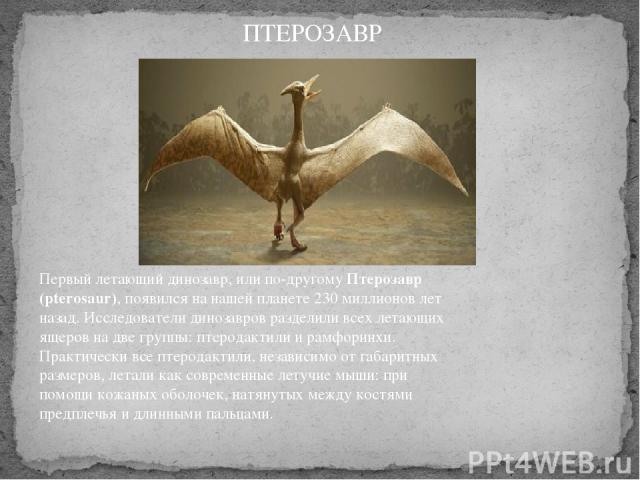 Первый летающий динозавр, или по-другому Птерозавр (pterosaur), появился на нашей планете 230 миллионов лет назад. Исследователи динозавров разделили всех летающих ящеров на две группы: птеродактили и рамфоринхи.  Практически все птеродактили, незав…