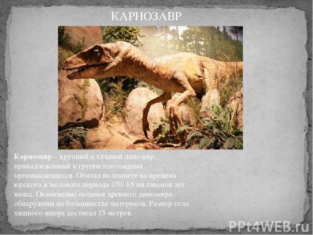 Карнозавр – крупный и хищный динозавр, принадлежавший к группе плотоядных пресмыкающихся. Обитал на планете во времена юрского и мелового периода 170–65 миллионов лет назад. Окаменелые останки древнего динозавра обнаружены на большинстве материков. …