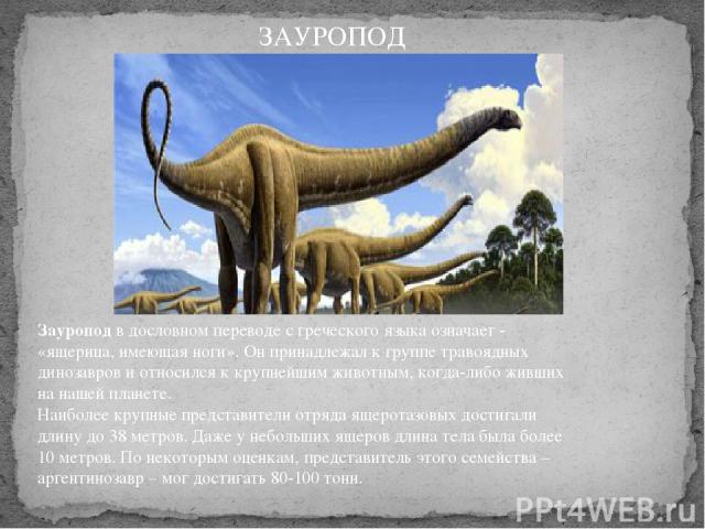 Зауропод в дословном переводе с греческого языка означает - «ящерица, имеющая ноги». Он принадлежал к группе травоядных динозавров и относился к крупнейшим животным, когда-либо живших на нашей планете.  Наиболее крупные представители отряда ящеротаз…
