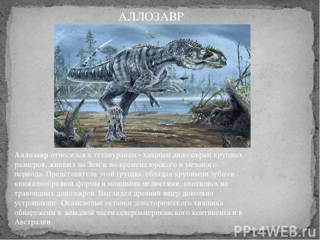 Аллозавр относился к тетануранам - хищным динозаврам крупных размеров, живших на Земле во времена юрского и мелового периода. Представители этой группы, обладая крупными зубами кинжалообразной формы и мощными челюстями, охотились на травоядных диноз…