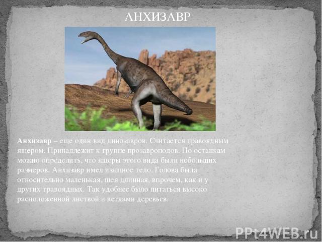 Анхизавр – еще один вид динозавров. Считается травоядным ящером. Принадлежит к группе прозавроподов. По останкам можно определить, что ящеры этого вида были небольших размеров. Анхизавр имел изящное тело. Голова была относительно маленькая, шея длин…