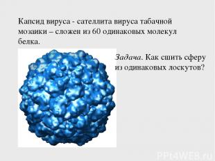 Капсид вируса - сателлита вируса табачной мозаики – сложен из 60 одинаковых моле