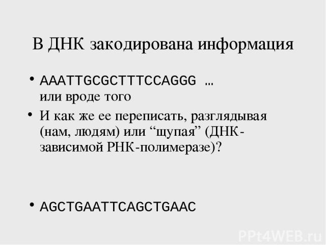 В ДНК закодирована информация AAATTGCGCTTTCCAGGG … или вроде того И как же ее переписать, разглядывая (нам, людям) или “щупая” (ДНК-зависимой РНК-полимеразе)? AGCTGAATTCAGCTGAAC