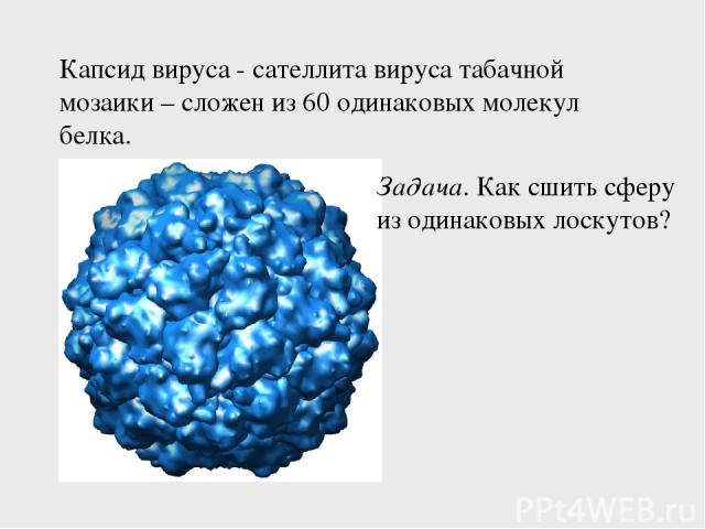 Капсид вируса - сателлита вируса табачной мозаики – сложен из 60 одинаковых молекул белка. Задача. Как сшить сферу из одинаковых лоскутов?