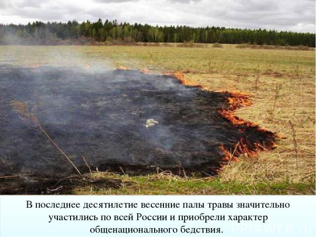 В последнее десятилетие весенние палы травы значительно участились по всей России и приобрели характер общенационального бедствия.