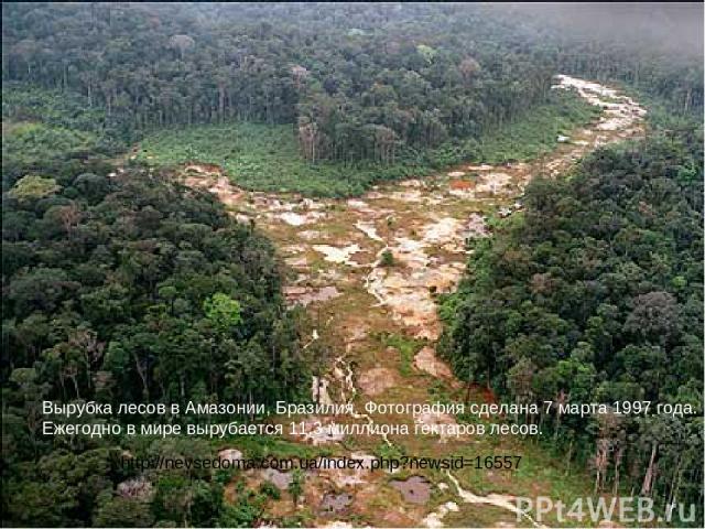 Вырубка лесов в Амазонии, Бразилия. Фотография сделана 7 марта 1997 года. Ежегодно в мире вырубается 11,3 миллиона гектаров лесов. http://nevsedoma.com.ua/index.php?newsid=16557