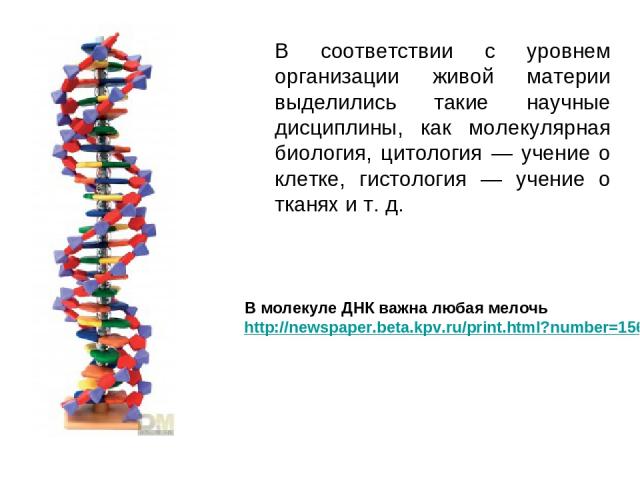 В соответствии с уровнем организации живой материи выделились такие научные дисциплины, как молекулярная биология, цитология — учение о клетке, гистология — учение о тканях и т. д. В молекуле ДНК важна любая мелочь http://newspaper.beta.kpv.ru/print…