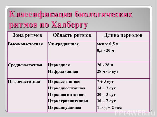 Классификация биологических ритмов по Халбергу Зона ритмов Область ритмов Длина периодов Высокочастотная Ультрадианная менее 0,5 ч 0,5 - 20 ч Среднечастотная Циркадная Инфрадианная 20 - 28 ч 28 ч - 3 сут Низкочастотная Циркасептанная Циркадисептанна…