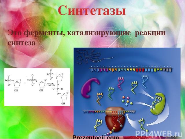 Синтетазы Это ферменты, катализирующие реакции синтеза Prezentacii.com