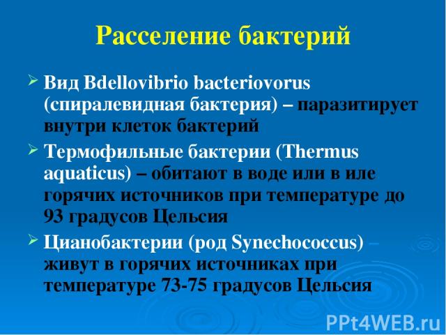 Расселение бактерий Вид Bdellovibrio bacteriovorus (спиралевидная бактерия) – паразитирует внутри клеток бактерий Термофильные бактерии (Thermus aquaticus) – обитают в воде или в иле горячих источников при температуре до 93 градусов Цельсия Цианобак…