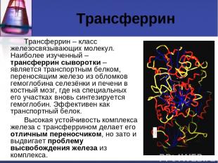 Трансферрин Трансферрин – класс железосвязывающих молекул. Наиболее изученный –