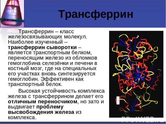 Трансферрин Трансферрин – класс железосвязывающих молекул. Наиболее изученный – трансферрин сыворотки – является транспортным белком, переносящим железо из обломков гемоглобина селезёнки и печени в костный мозг, где на специальных его участках вновь…