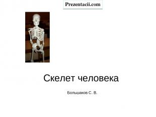 Скелет человека Большаков С. В. Prezentacii.com