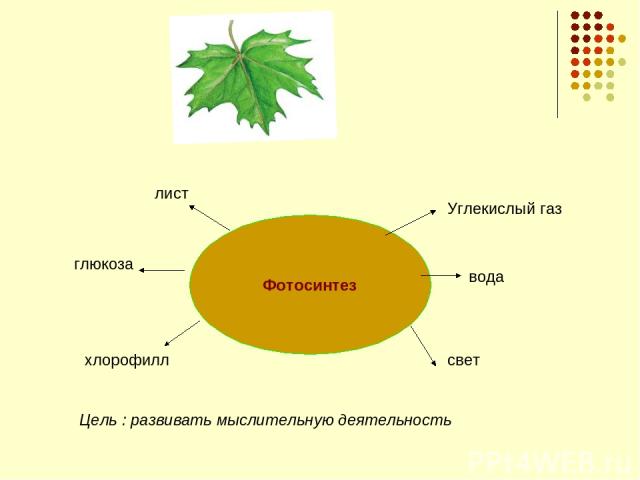 Фотосинтез глюкоза лист Углекислый газ вода свет хлорофилл Цель : развивать мыслительную деятельность