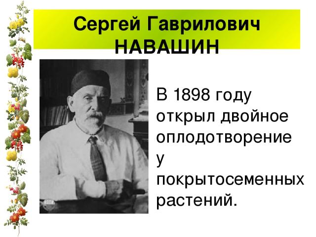 Сергей Гаврилович НАВАШИН В 1898 году открыл двойное оплодотворение у покрытосеменных растений.