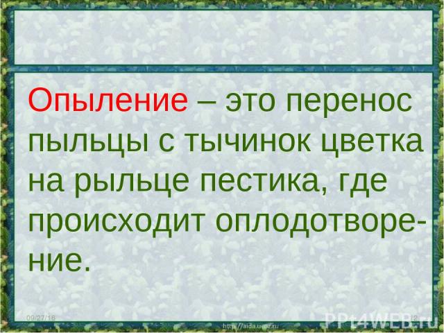 * * Опыление – это перенос пыльцы с тычинок цветка на рыльце пестика, где происходит оплодотворе- ние.