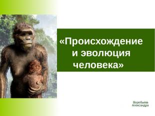 «Происхождение и эволюция человека» Воробьева Александра