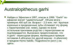 Australopithecus garhi Найден в Эфиопии в 1997, описан в 1999. "Garhi" по-афарск