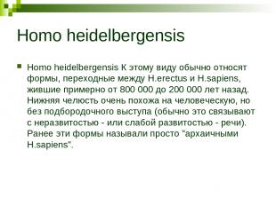 Homo heidelbergensis Homo heidelbergensis К этому виду обычно относят формы, пер