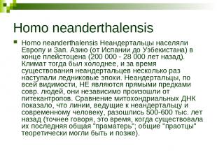 Homo neanderthalensis Homo neanderthalensis Неандертальцы населяли Европу и Зап.