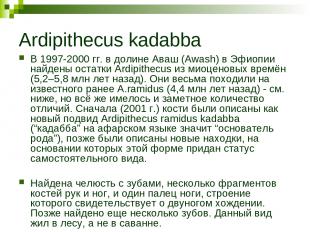 Ardipithecus kadabba В 1997-2000 гг. в долине Аваш (Awash) в Эфиопии найдены ост