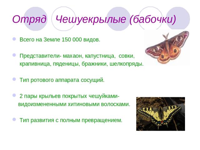 Отряд Чешуекрылые (бабочки) Всего на Земле 150 000 видов. Представители- махаон, капустница, совки, крапивница, пяденицы, бражники, шелкопряды. Тип ротового аппарата сосущий. 2 пары крыльев покрытых чешуйками- видоизмененными хитиновыми волосками. Т…