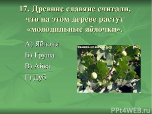 17. Древние славяне считали, что на этом дереве растут «молодильные яблочки». А)
