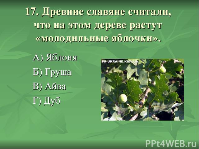 17. Древние славяне считали, что на этом дереве растут «молодильные яблочки». А) Яблоня Б) Груша В) Айва Г) Дуб