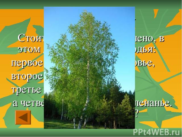Отгадай-ка - «20» Стоит дерево, цветом зелено, в этом дереве – четыре угодья: первое – больным на здоровье, второе – людям колодец,  третье – от тьмы свет, а четвертое – дряхлым пеленанье. Что это за дерево?