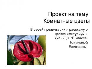 Проект на тему Комнатные цветы В своей презентации я расскажу о цветке «Антуриум