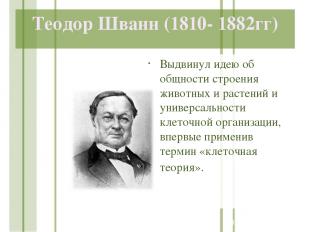 Теодор Шванн (1810- 1882гг) Выдвинул идею об общности строения животных и растен