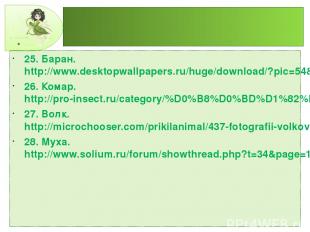 25. Баран. http://www.desktopwallpapers.ru/huge/download/?pic=54&resolution=2048