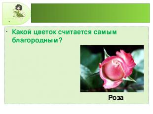 Какой цветок считается самым благородным? Роза