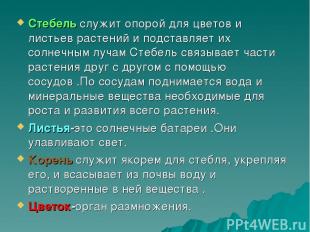 Стебель служит опорой для цветов и листьев растений и подставляет их солнечным л