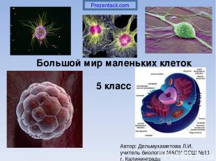 Большой мир маленьких клеток 5 класс Автор: Дельмухаметова Л.И. учитель биологии