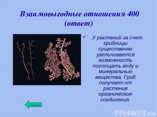 Взаимовыгодные отношения 400 (ответ) У растений за счет грибницы существенно уве