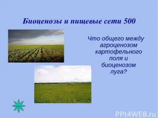 Биоценозы и пищевые сети 500 Что общего между агроценозом картофельного поля и б