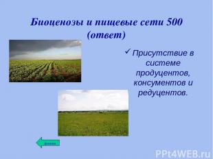 Биоценозы и пищевые сети 500 (ответ) Присутствие в системе продуцентов, консумен