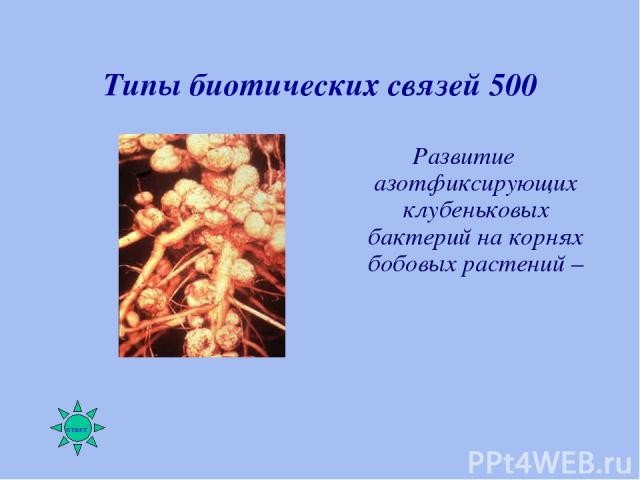 Типы биотических связей 500 Развитие азотфиксирующих клубеньковых бактерий на корнях бобовых растений –