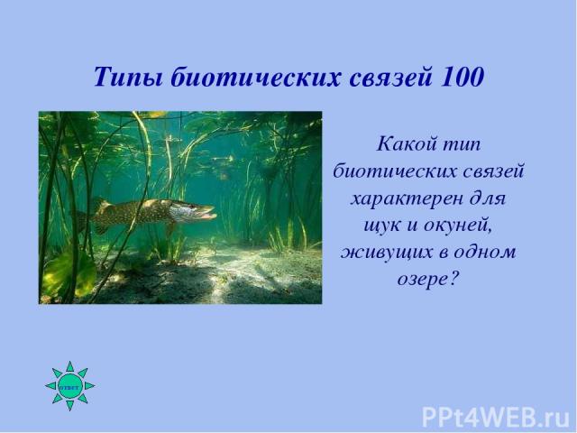 Типы биотических связей 100 Какой тип биотических связей характерен для щук и окуней, живущих в одном озере?