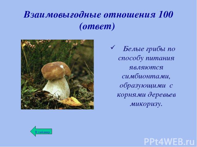 Взаимовыгодные отношения 100 (ответ) Белые грибы по способу питания являются симбионтами, образующими с корнями деревьев микоризу.