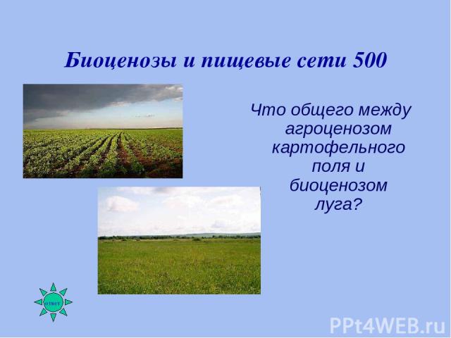 Биоценозы и пищевые сети 500 Что общего между агроценозом картофельного поля и биоценозом луга?