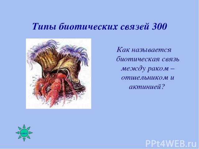 Типы биотических связей 300 Как называется биотическая связь между раком – отшельником и актинией?
